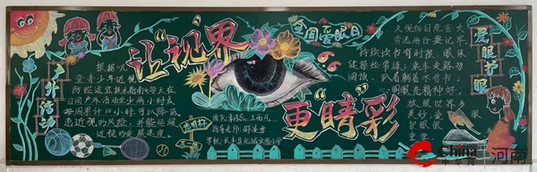 “点亮视界预防近视小学在行动”西平县芦庙中心小学开展近视防控宣传教育活动(图2)