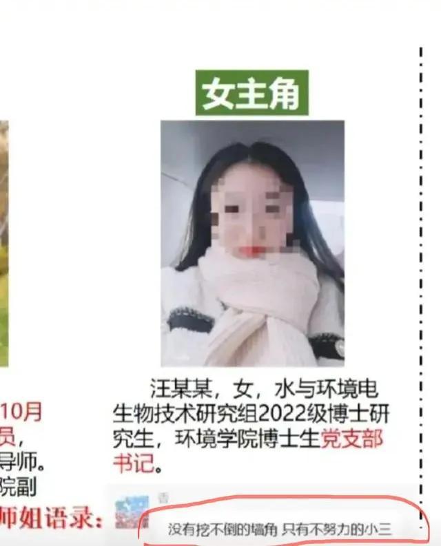 宋院长彻底火了之后更多内幕被曝光让人大跌眼镜(图1)