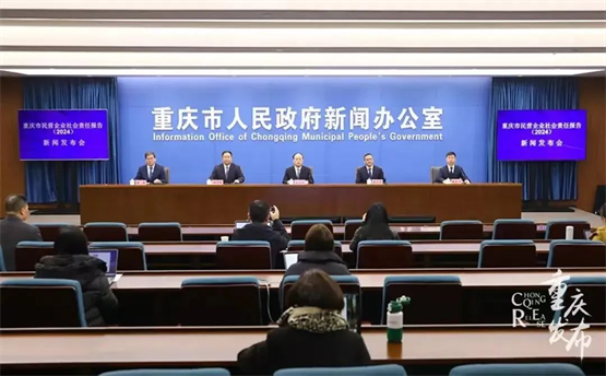 九游娱乐：华森制药荣誉上榜2024重庆市民营企业社会责任100强榜单！(图1)