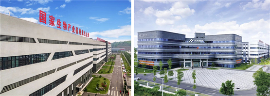 九游娱乐：华森制药荣誉上榜2024重庆市民营企业社会责任100强榜单！(图3)