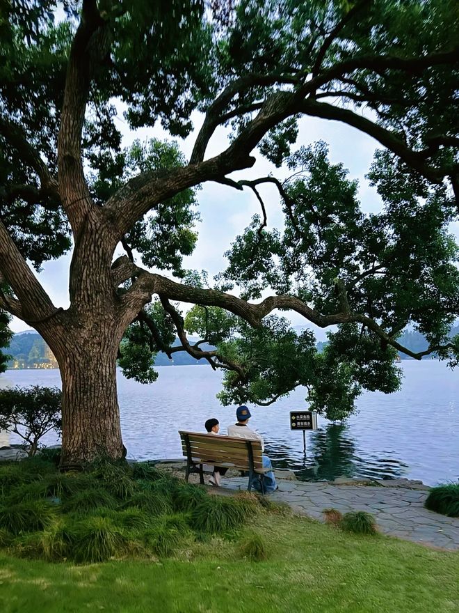 盘点2025杭州口碑最好的旅行社：杭州旅行社前十名联系电话(图1)