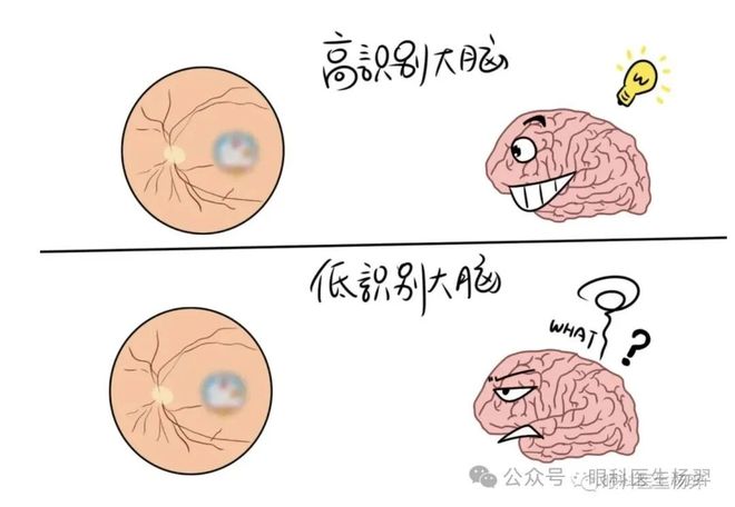 为什么“视力正常”不代表孩子近视被控制住了?(图4)